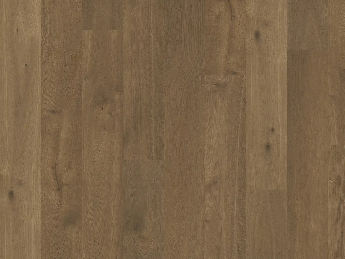  Duchateau Flooring Terra Collection